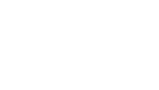 SpeedX